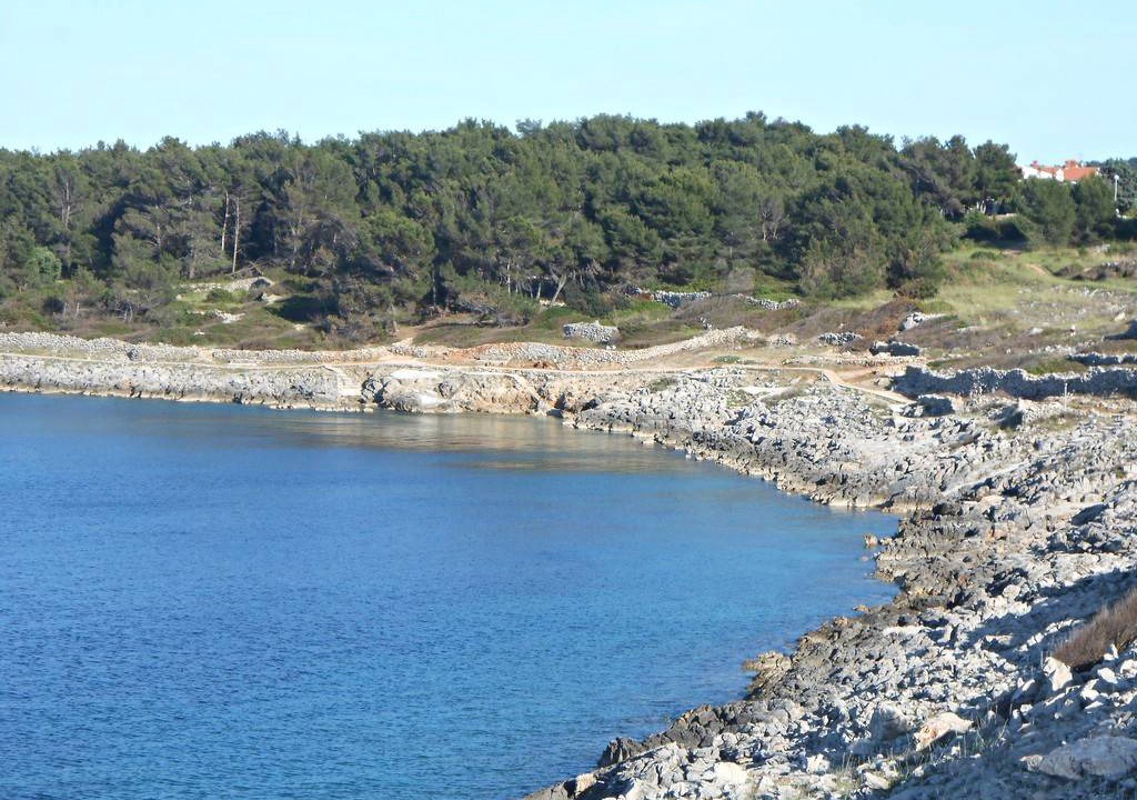 Photo of Others in Cove Murtar