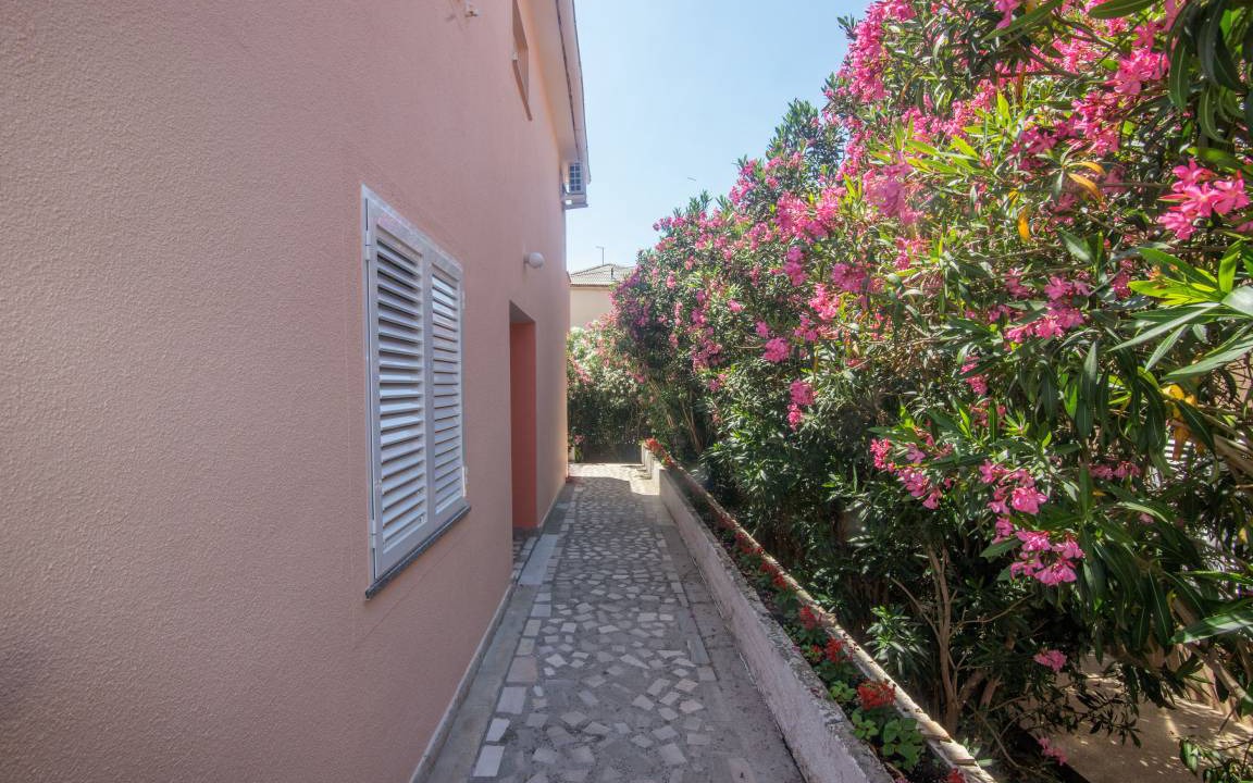 Photo of Others in Zrce