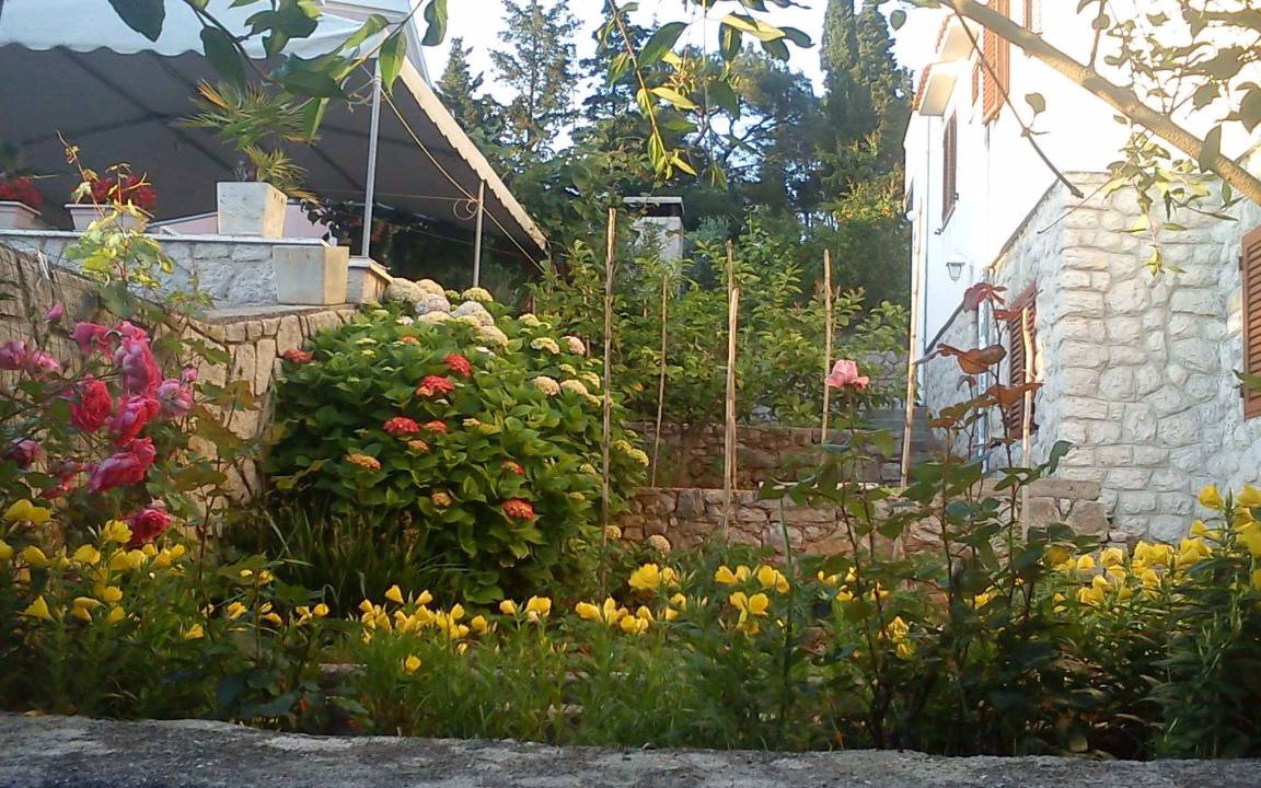 Photo of Others in Cove Murtar