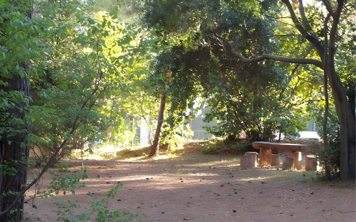 Photo of Others in Cove Murtar