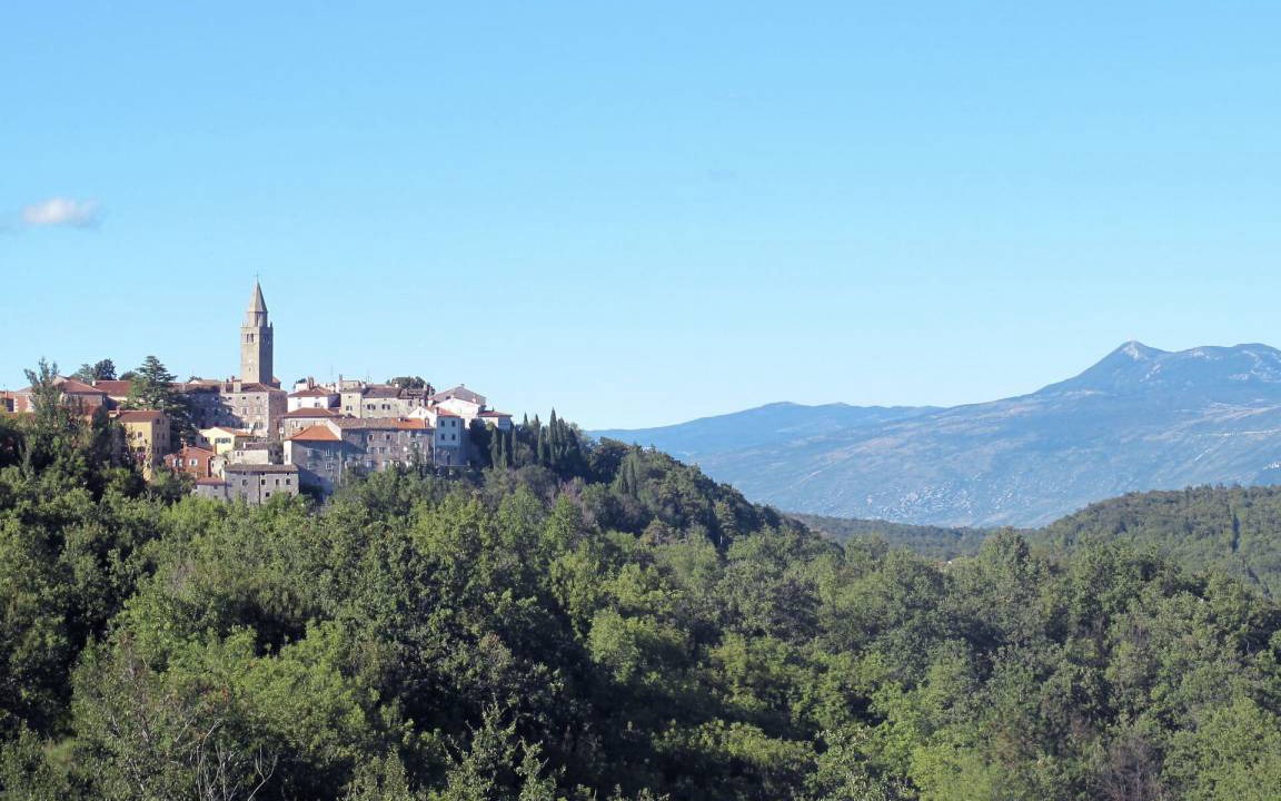 Photo of Others in Crni