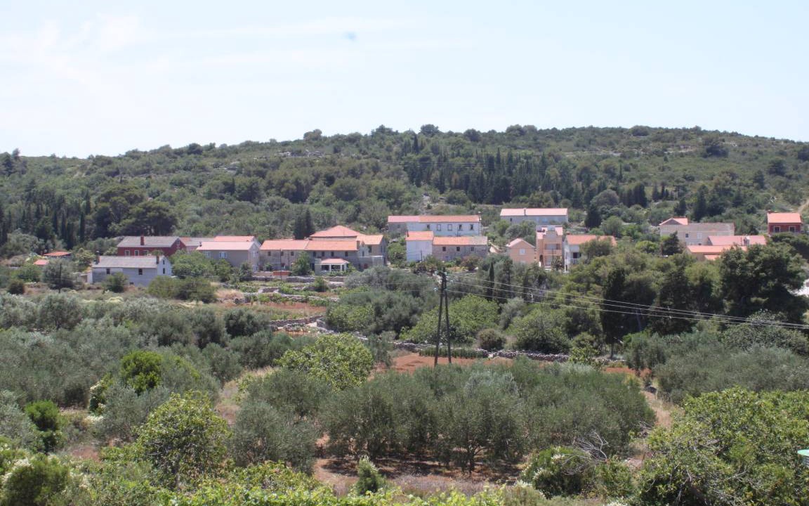 Photo of Others in Soline