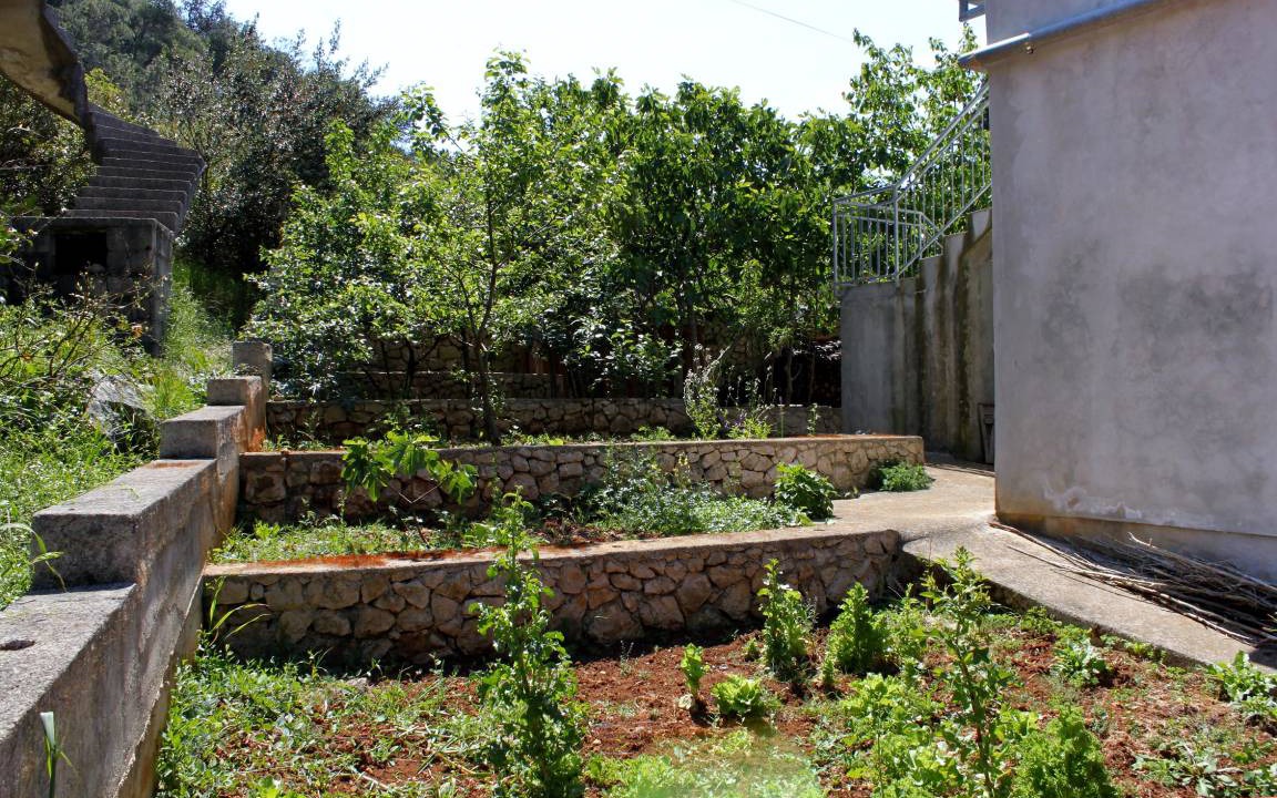 Photo of Others in Molat