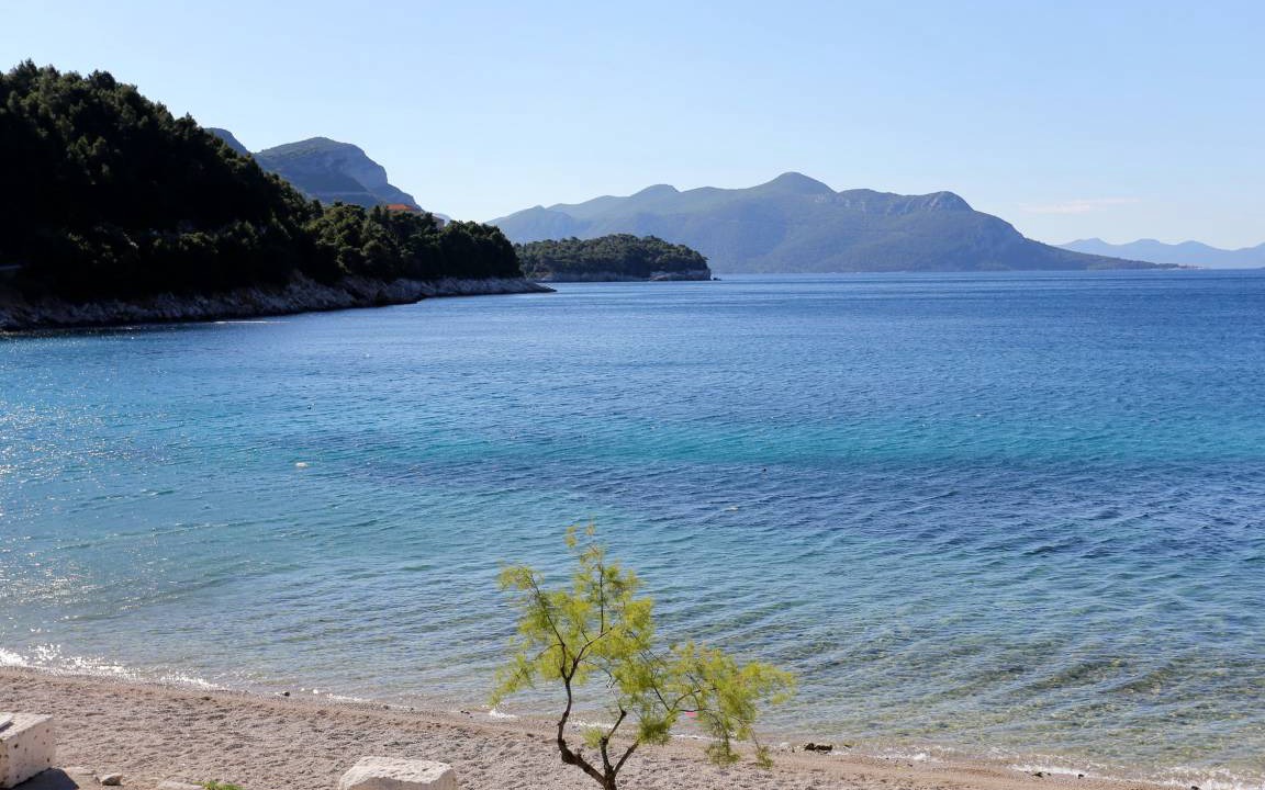Photo of Others in Trstenik