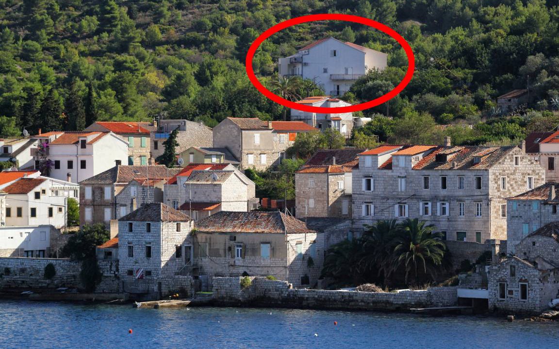 Photo of Others in Vis