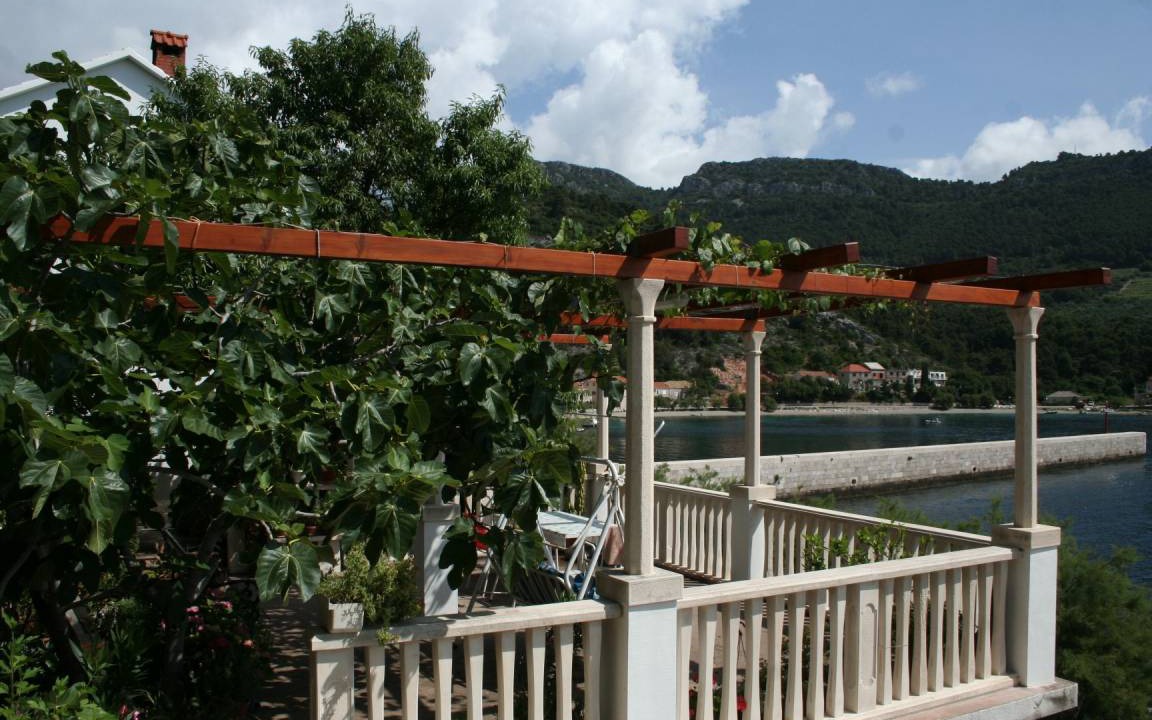 Photo of Others in Trstenik