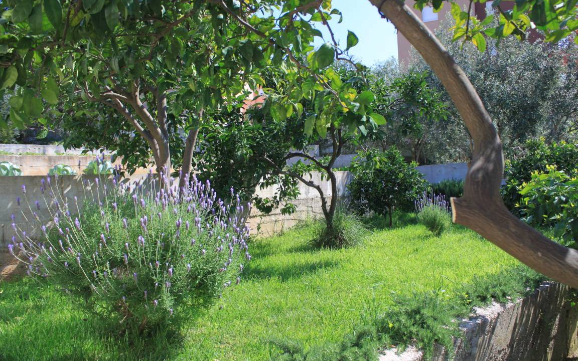 Photo of Others in Trogir