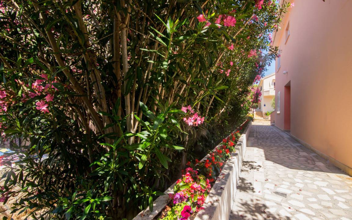 Photo of Others in Zrce