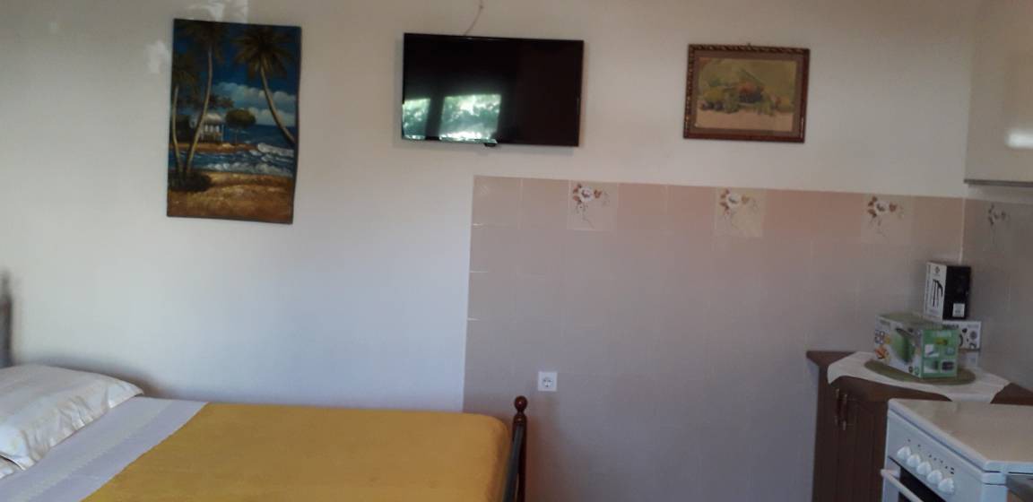 Photo of Others in Vis
