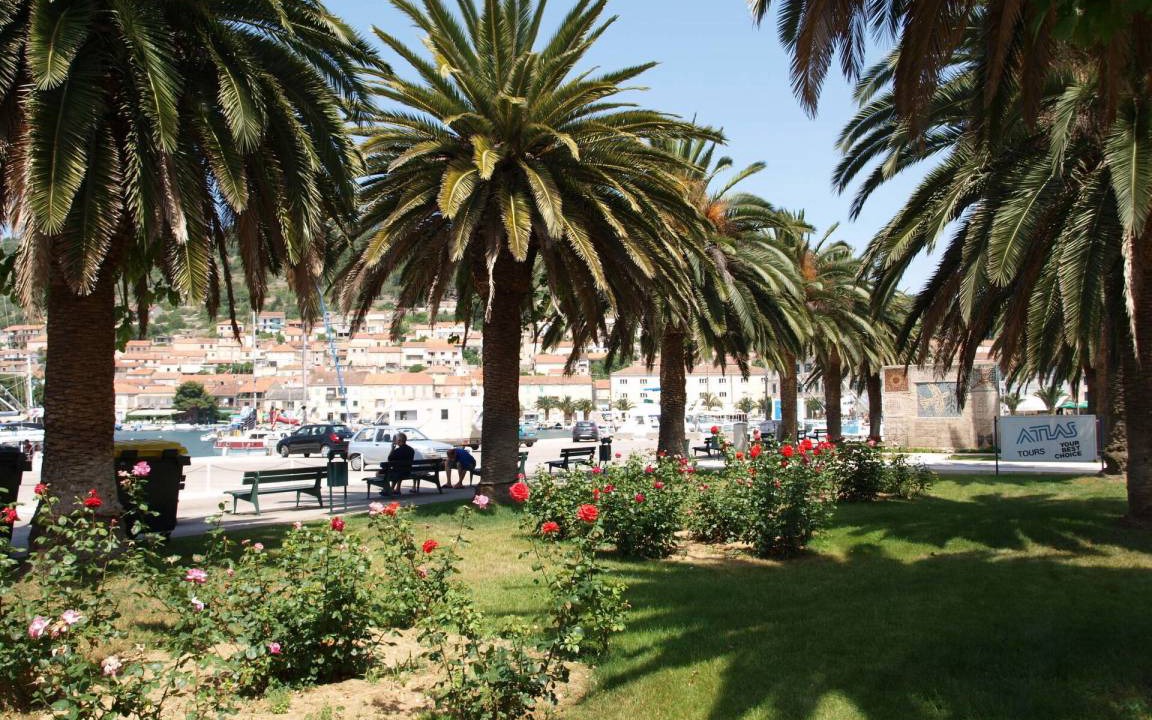 Photo of Others in Vela Luka