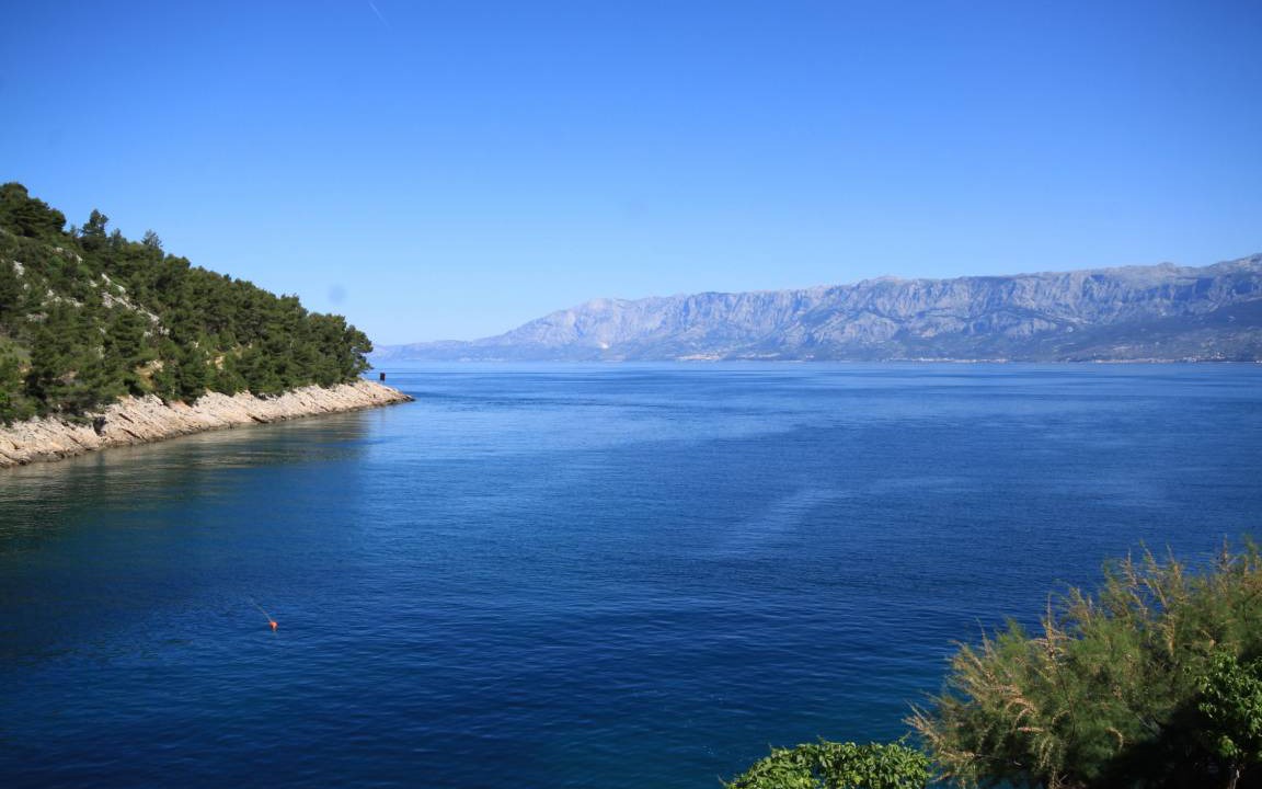 Photo of Others in Bogomolje