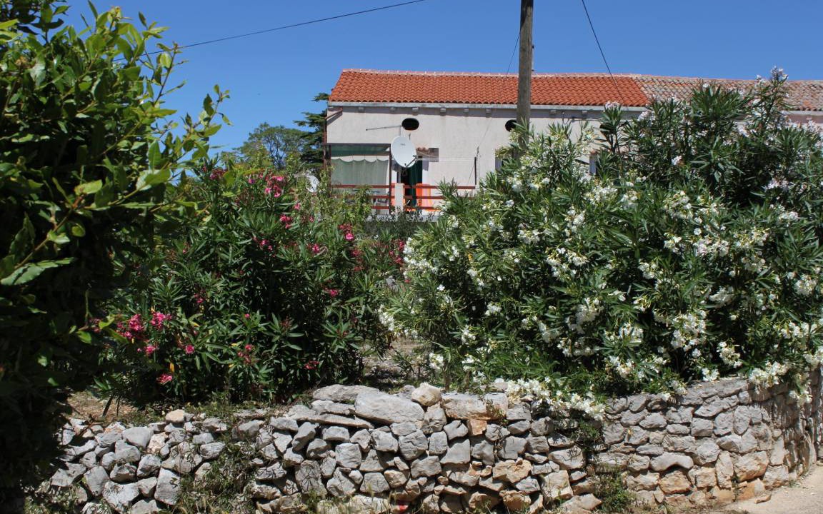 Photo of Others in Veli Losinj