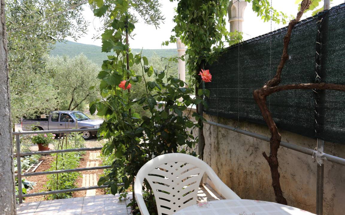 Photo of Others in Dubrava