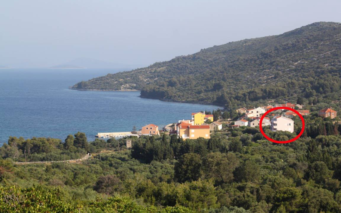 Photo of Others in Soline