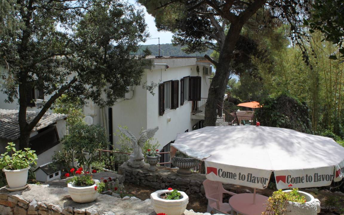 Photo of Others in Cove Murtar