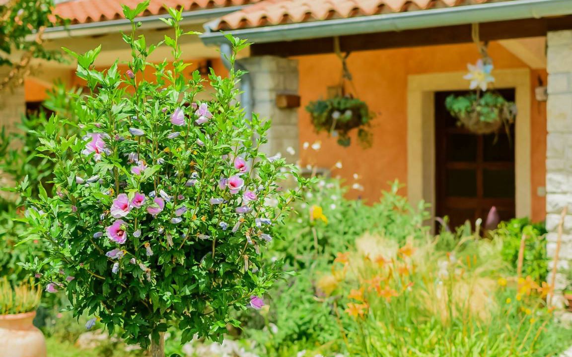 Photo of Others in Cabrunici