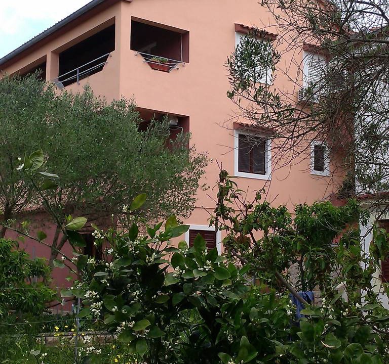 Photo of Others in Molat