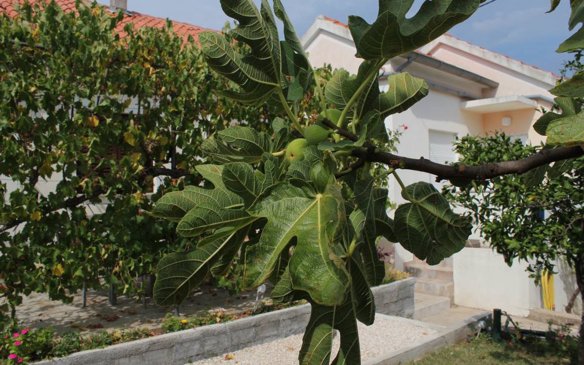 Photo of Outdoor in Lukoran