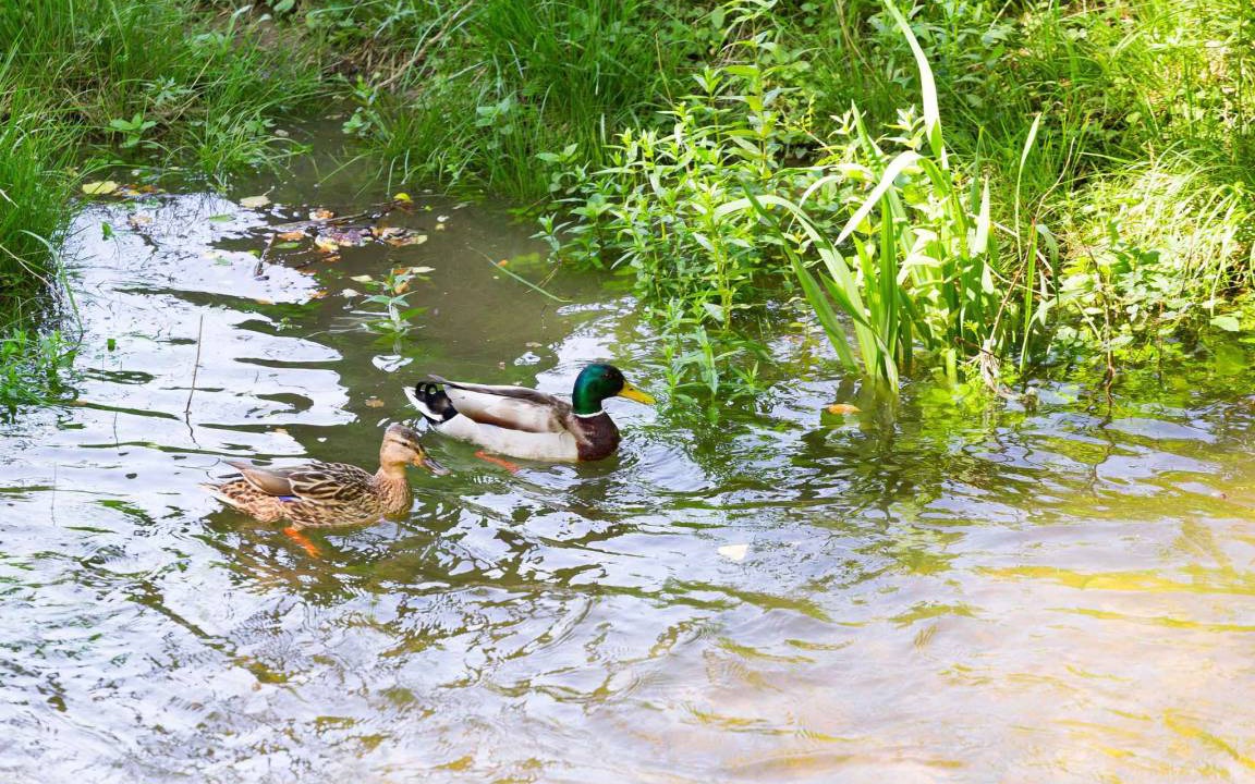 Photo of Others in Vinodolska opcina