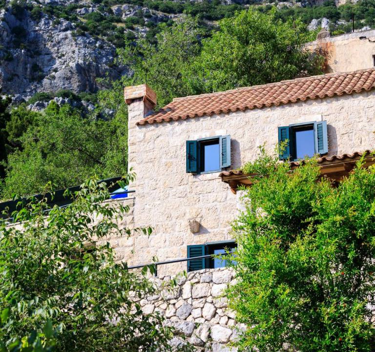 Photo of Others in Mihanici