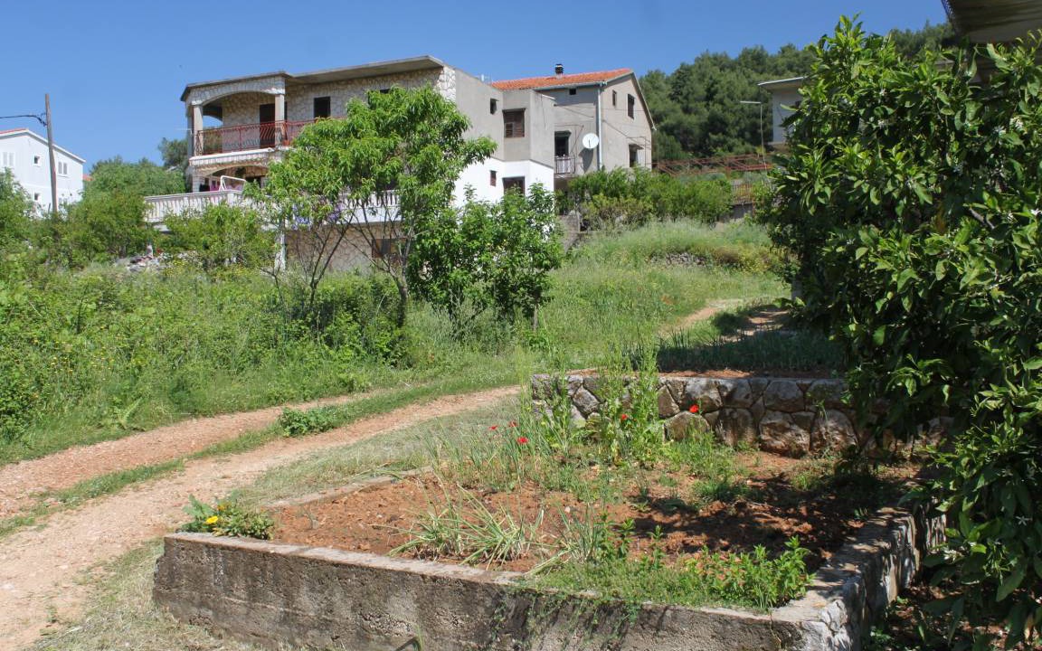 Photo of Others in Island Hvar