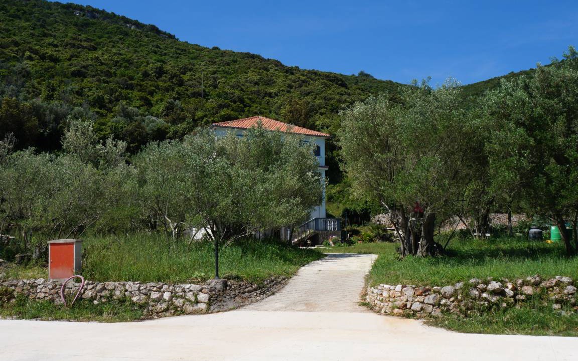 Photo of Others in Luka