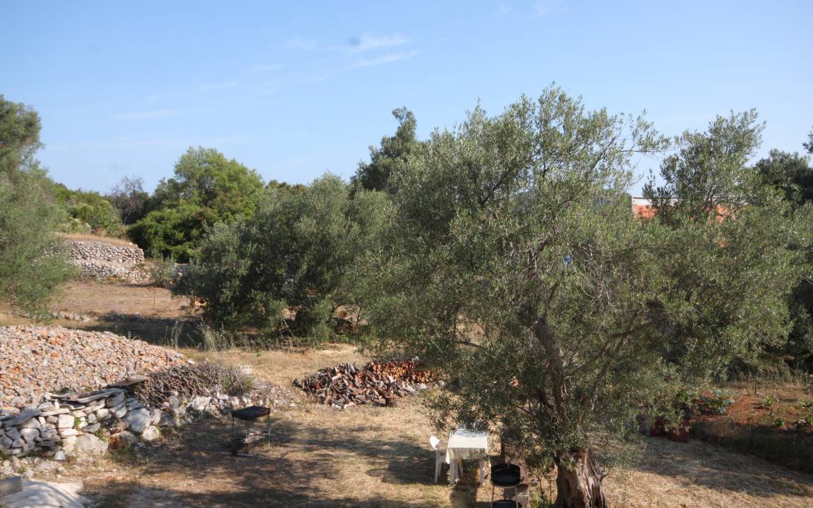 Photo of Others in Luka