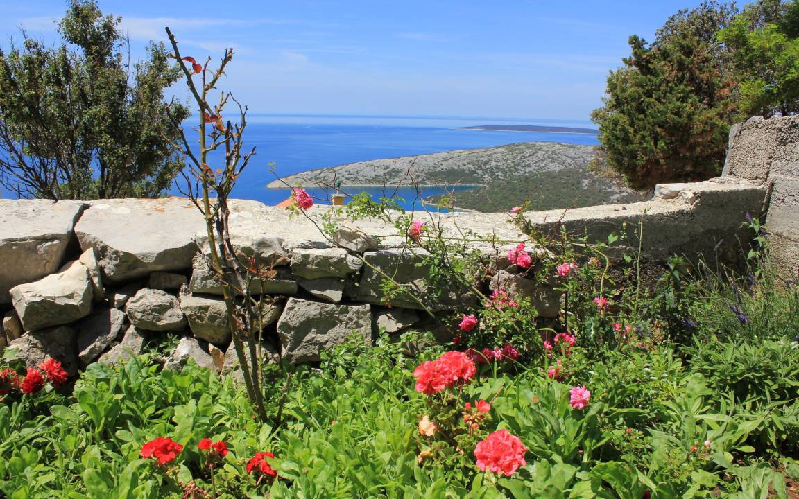 Photo of Others in Ustrine