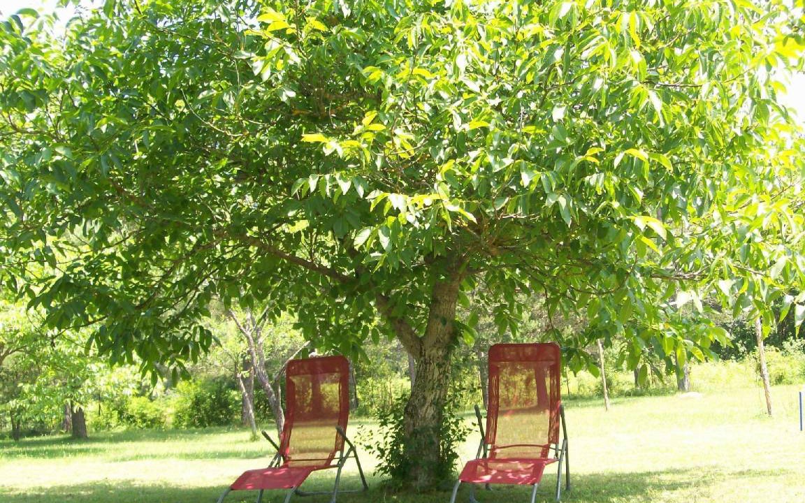Photo of Outdoor in Rudanovac
