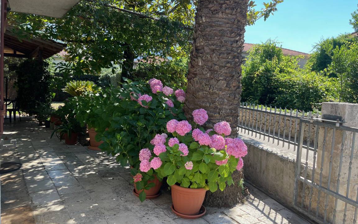 Photo of Others in Island Hvar