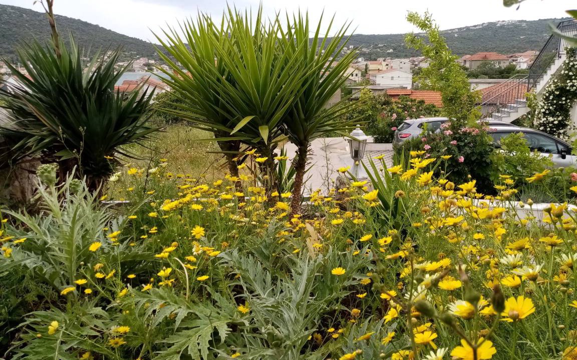 Photo of Outdoor in Vinisce