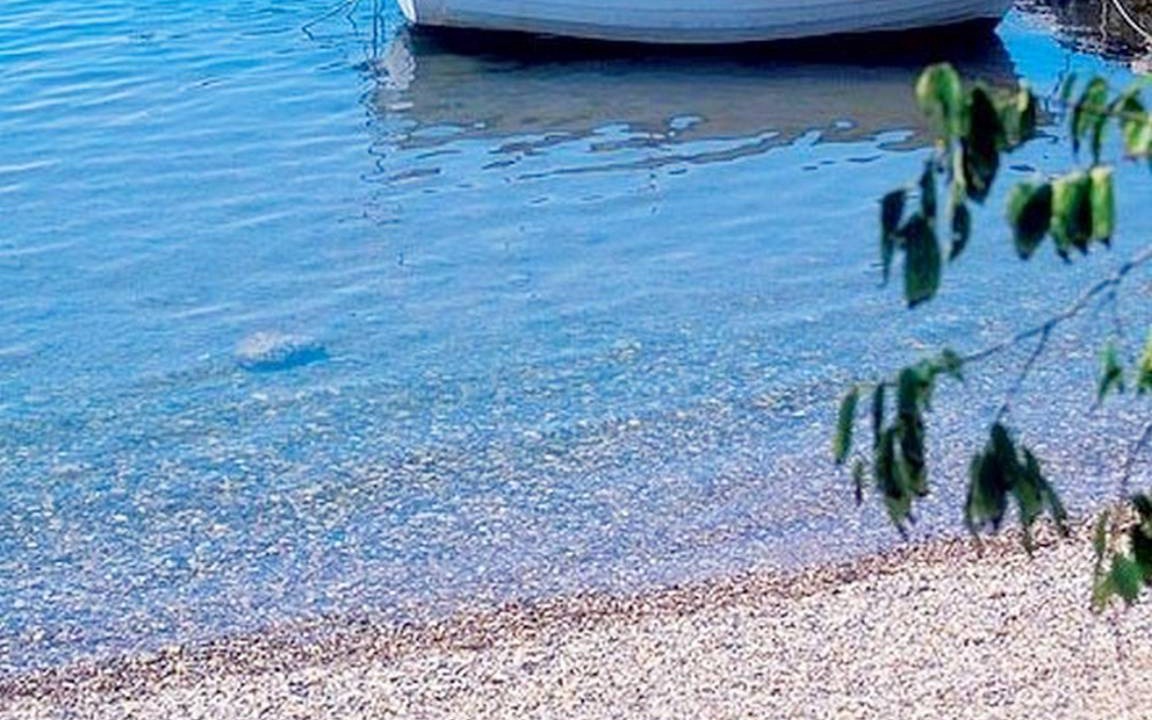 Photo of Others in Seline