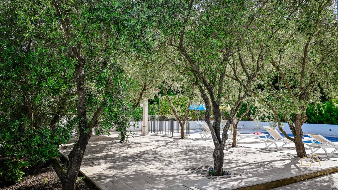 Photo of Others in Sveti Vid Dobrinjski