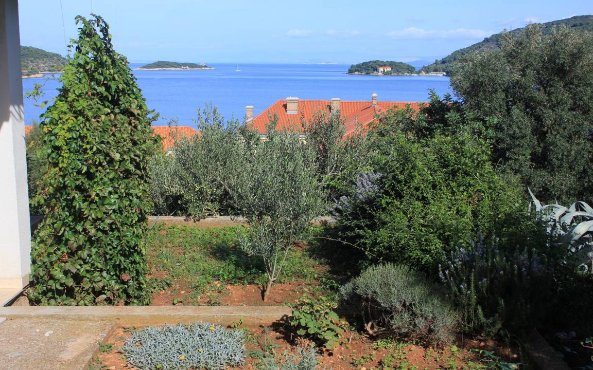 Photo of Others in Vis