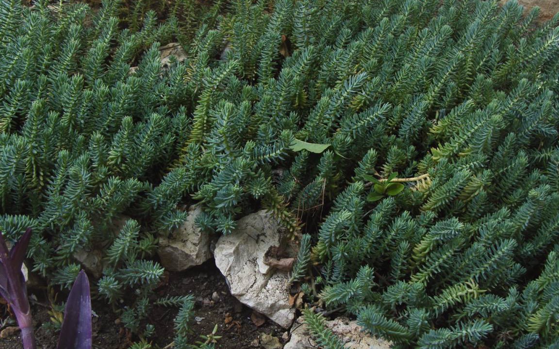 Photo of Others in Milna