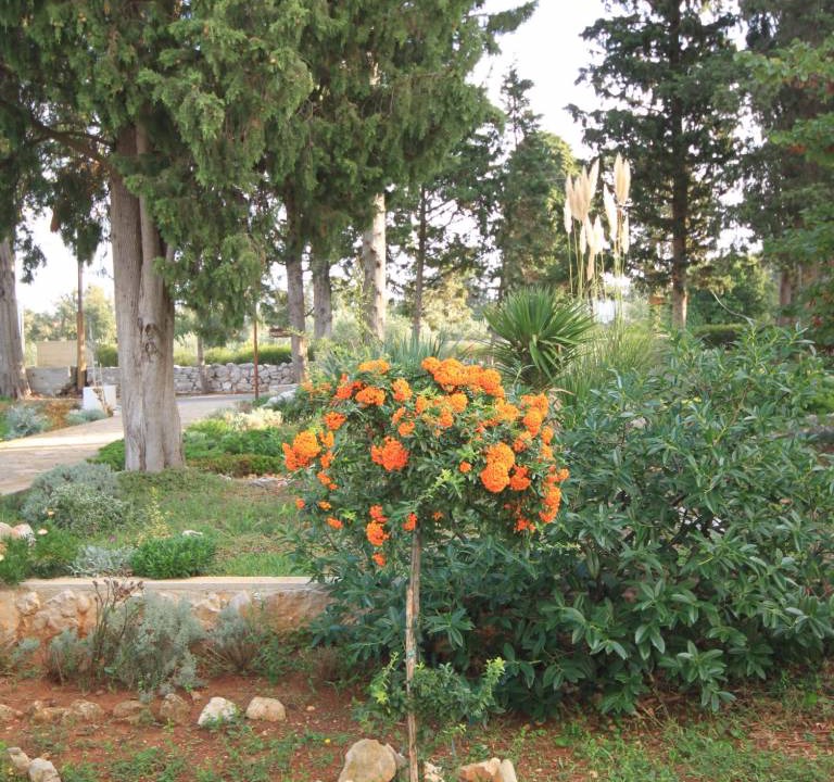Photo of Others in Muline