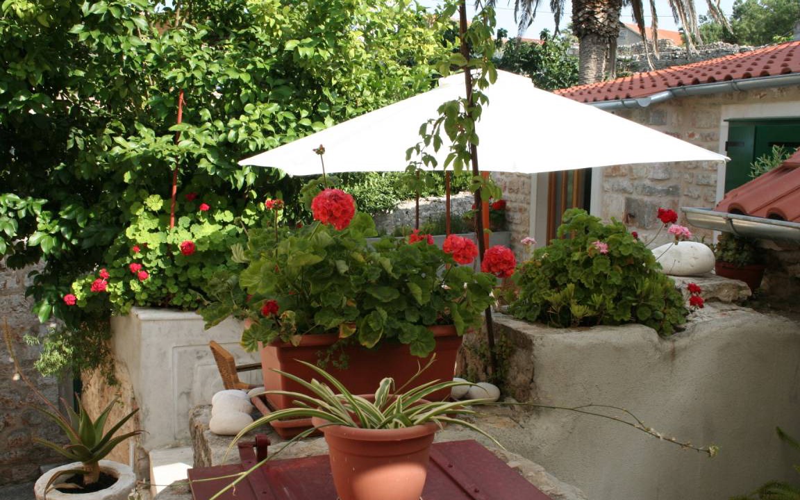 Photo of Others in Vrboska