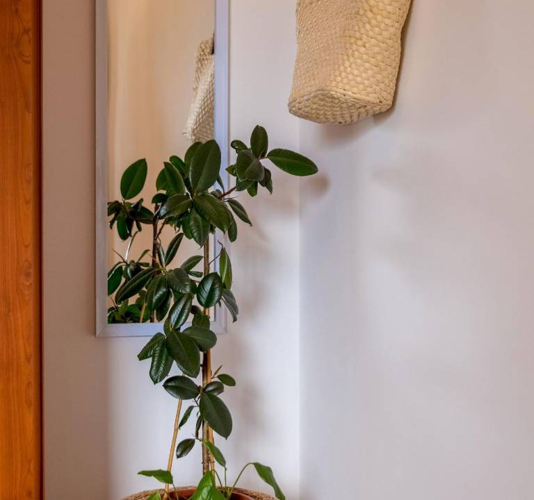 Photo of Others in Buzdohanj