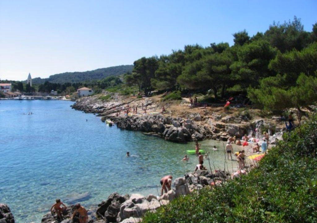 Photo of Others in Cove Murtar