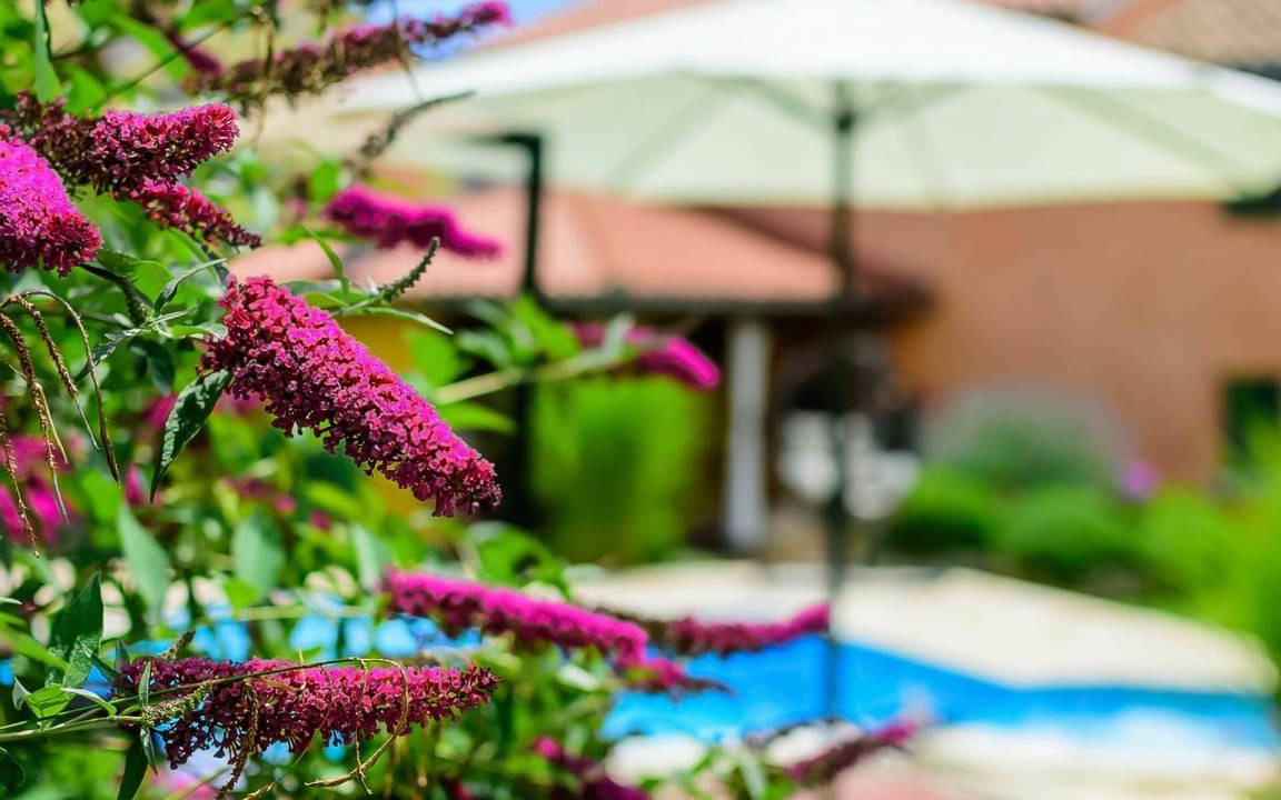 Photo of Others in Cabrunici