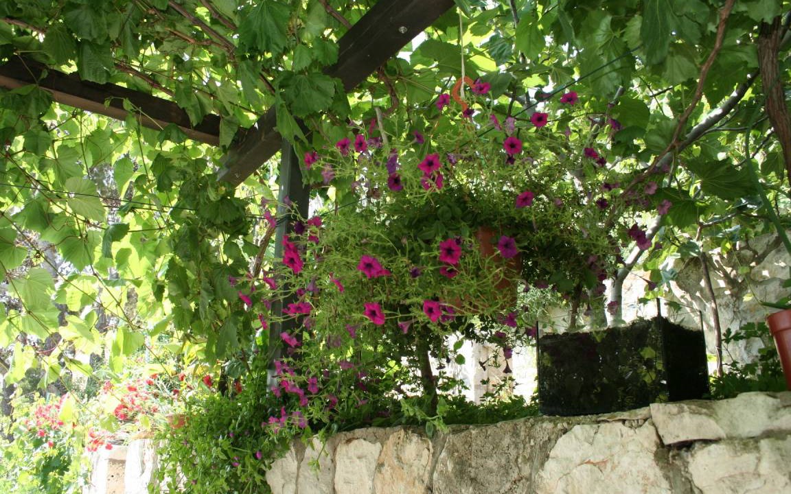 Photo of Others in Trstenik