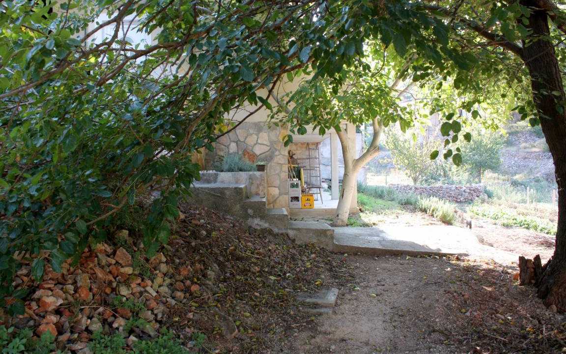 Photo of Others in Cove Basina (Jelsa)