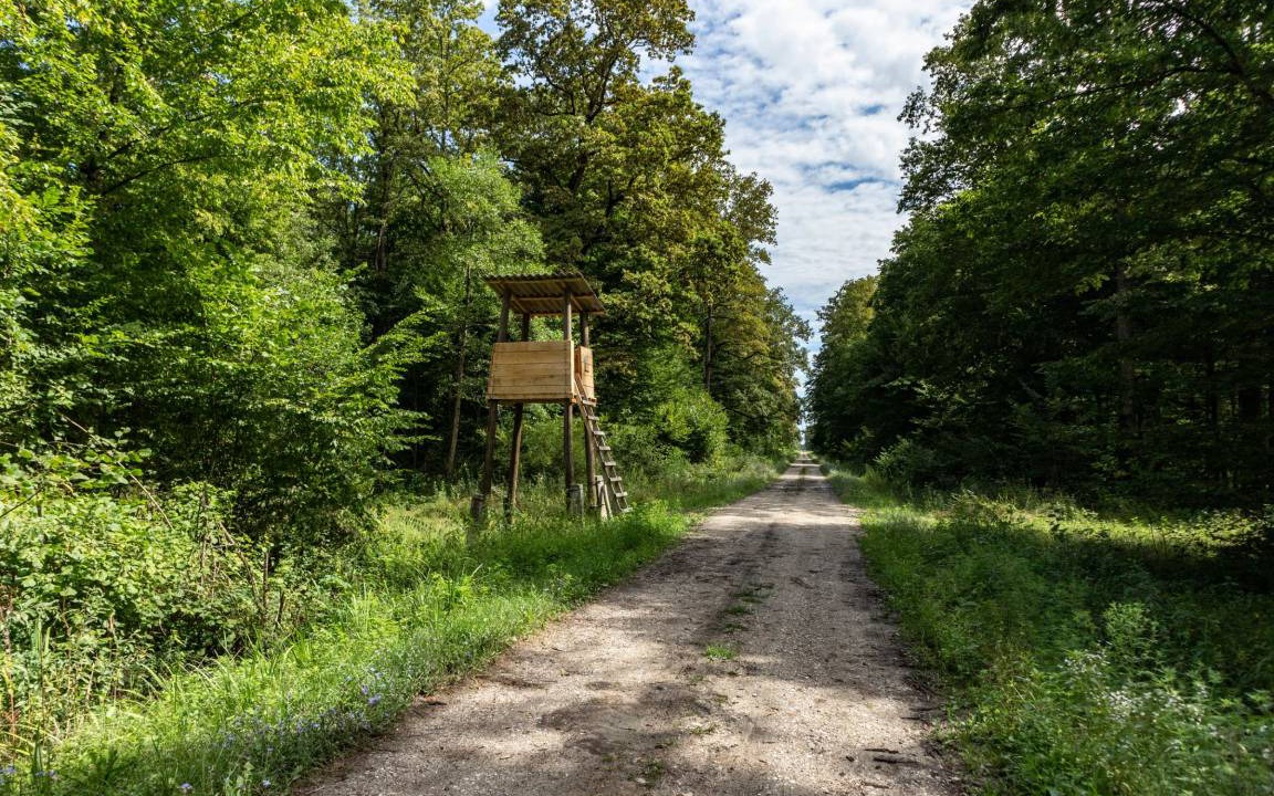 Photo of Others in Kravarsko
