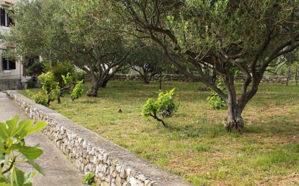 Photo of Others in Mali Losinj