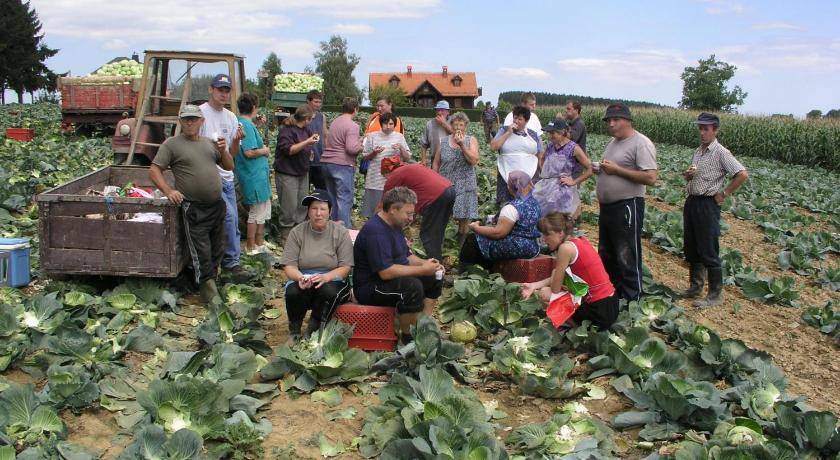 Photo of Others in Marusevec