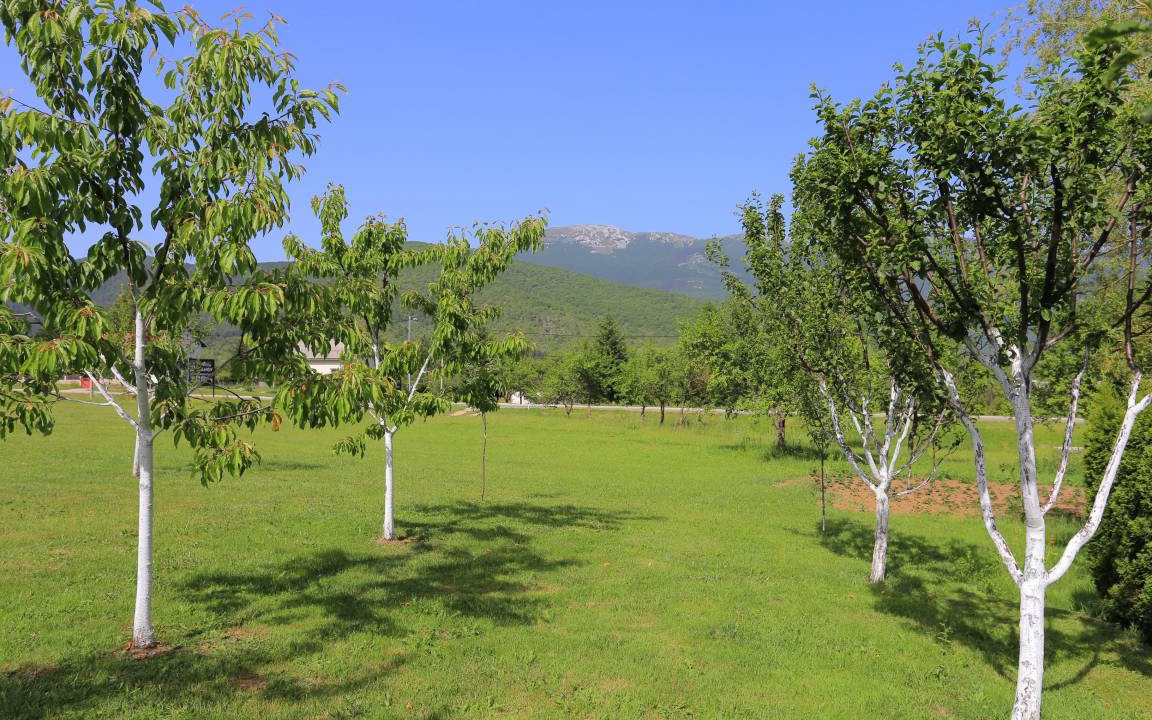Photo of Others in Vranovaca