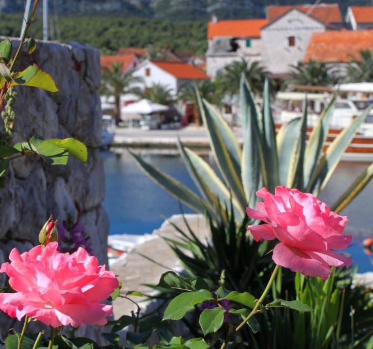 Photo of Others in Vrboska