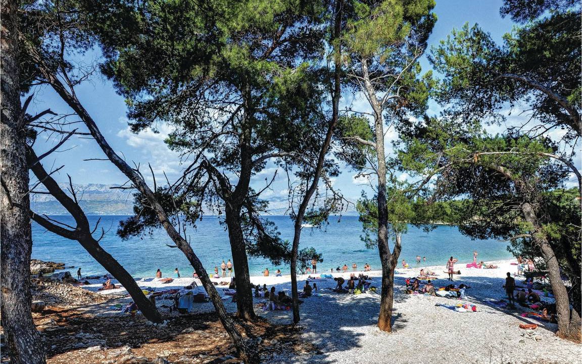 Photo of Others in Splitska
