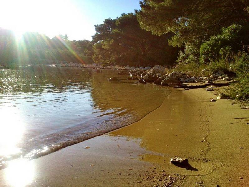 Photo of Others in Molat