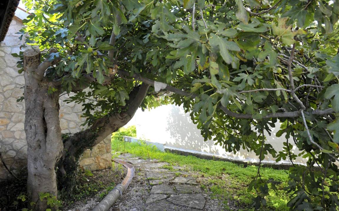 Photo of Others in Dragove